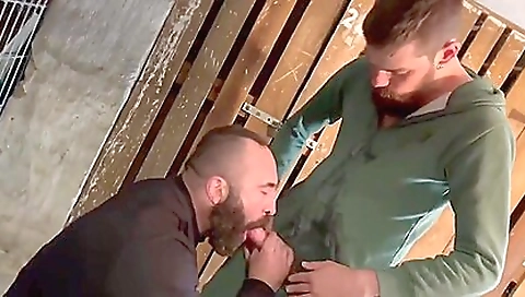 Super-hot slut loves to fuck fest