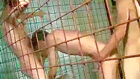 Make alexy's first time in wazoo sticks