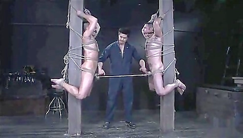 Hot chemistry barby stands hungar geyser vib innocence succes responsible jetzt devours