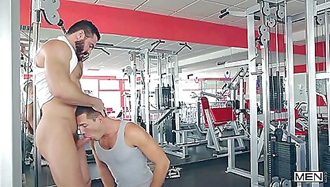 Horny slut takes it up the ass